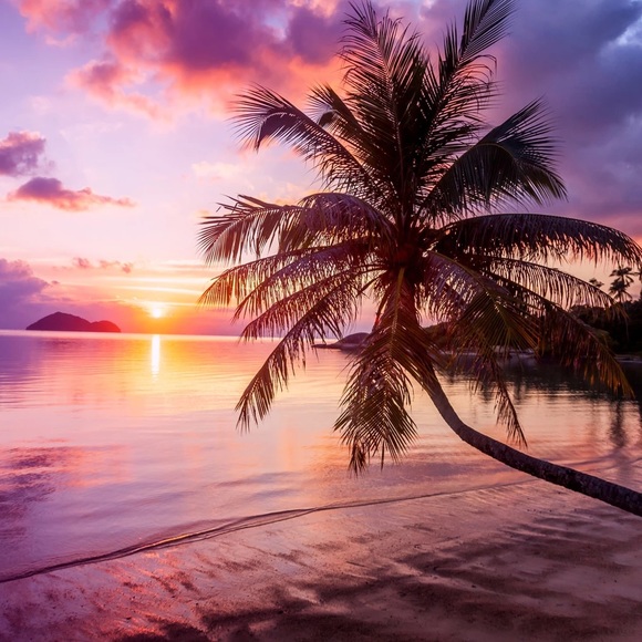 Meet your Posher, Cali G L A M - Picture 1 of 2